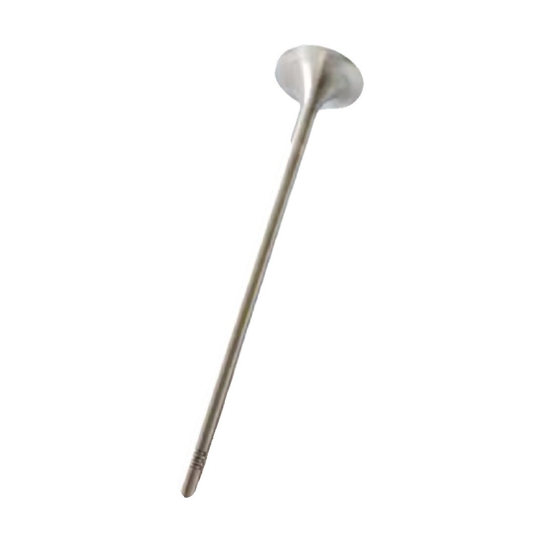 Construction machinery Parts 20768519 21016539 20768506 7421016539 7420768519 Exhaust Valve Suitable for VOLVO D13