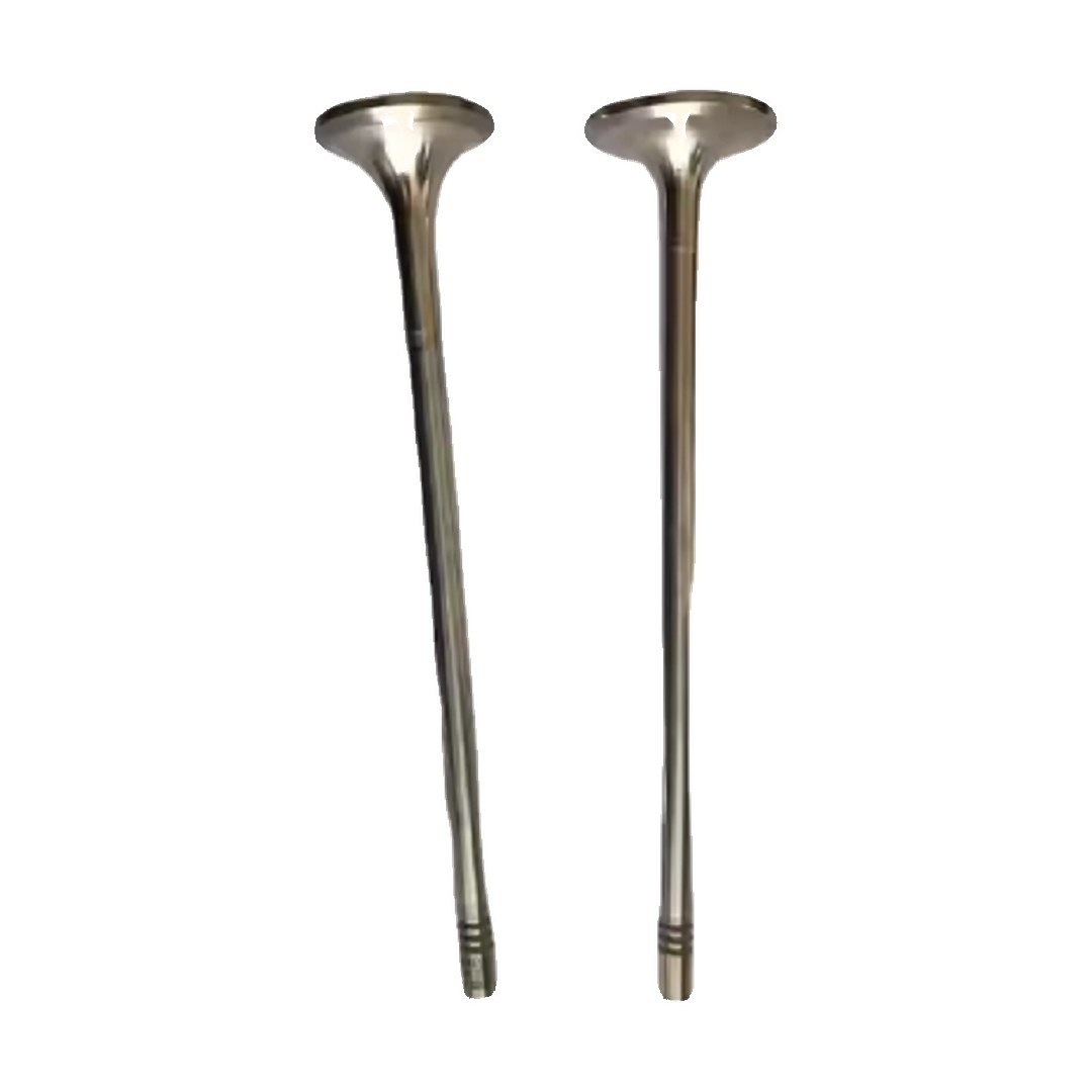Construction machinery Parts D13 Engine Valves 20768519 21016539 Used Suitable for VOLVO Engine