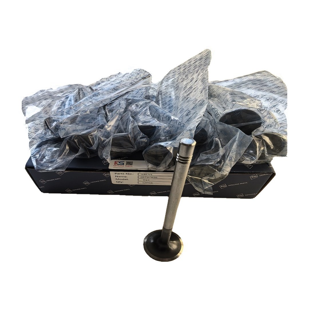 Suitable for Volvo TAD1151VE Engine Intake Valve 20737856 Construction machinery Parts