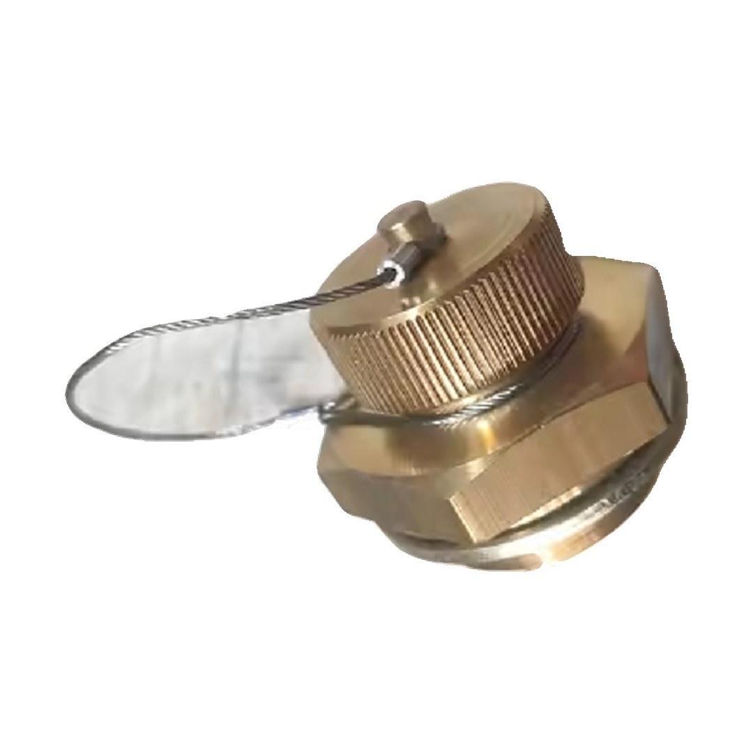 Excavator Parts Oil Drain Valve 11215965 Voe15128018 for Volvo Excavator