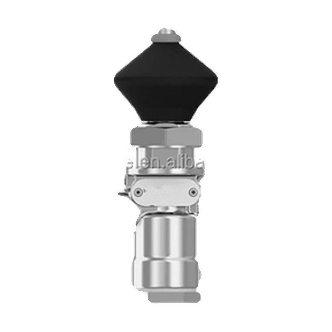 267859 268759 0642909 1934912 463022020 European Truck Check Valve